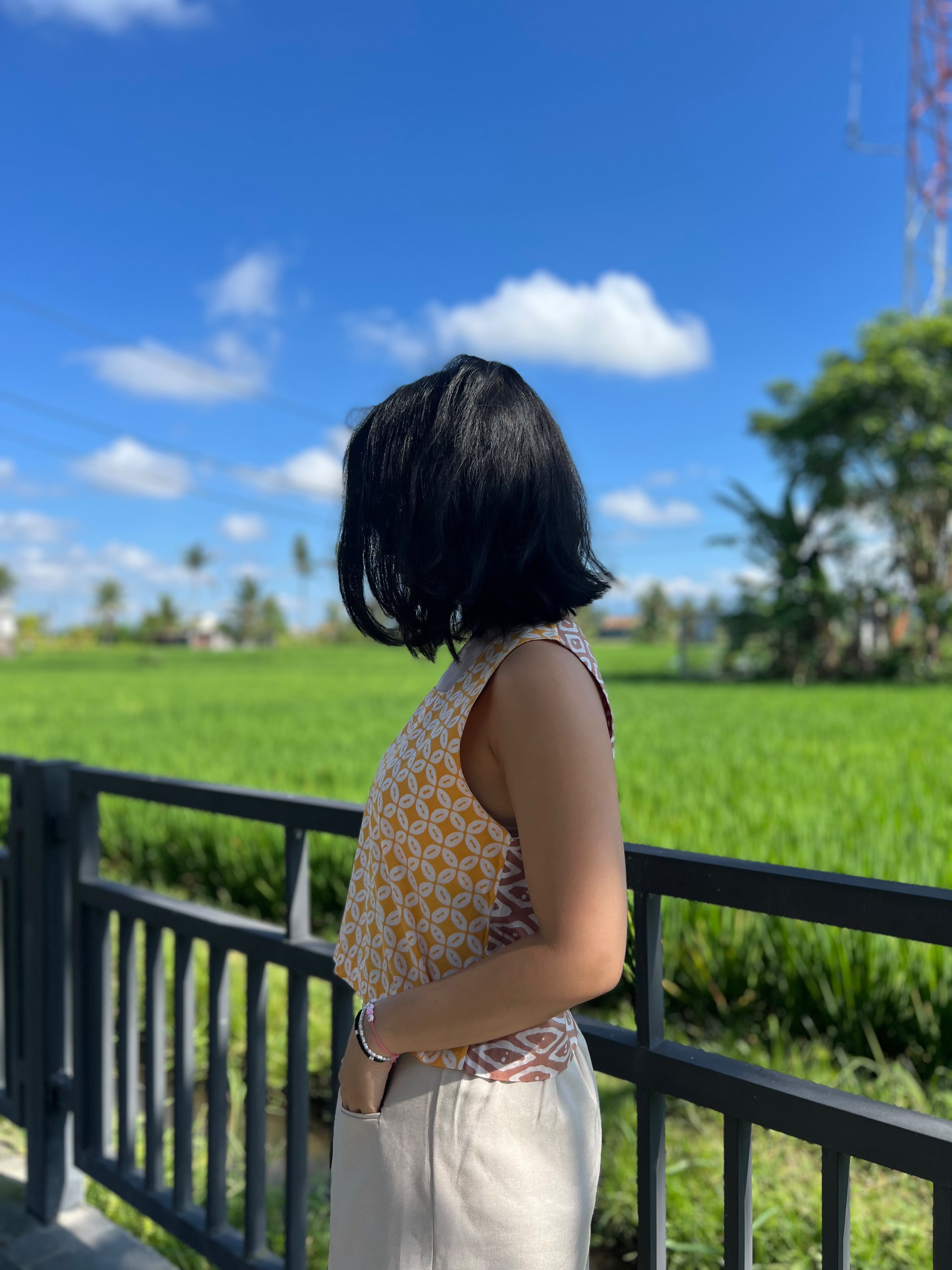 Maya 3